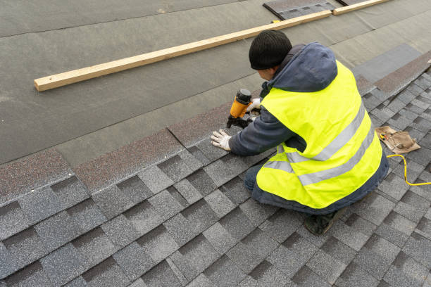 Best Roof Gutter Cleaning  in Prince George, VA