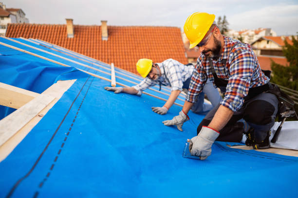 Best Storm Damage Roof Repair  in Prince George, VA