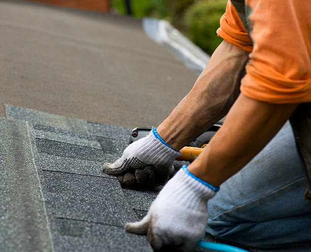 Best Roof Repair Services  in Prince George, VA