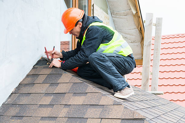 Roof Gutter Cleaning in Prince George, VA